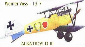 Albatros D III